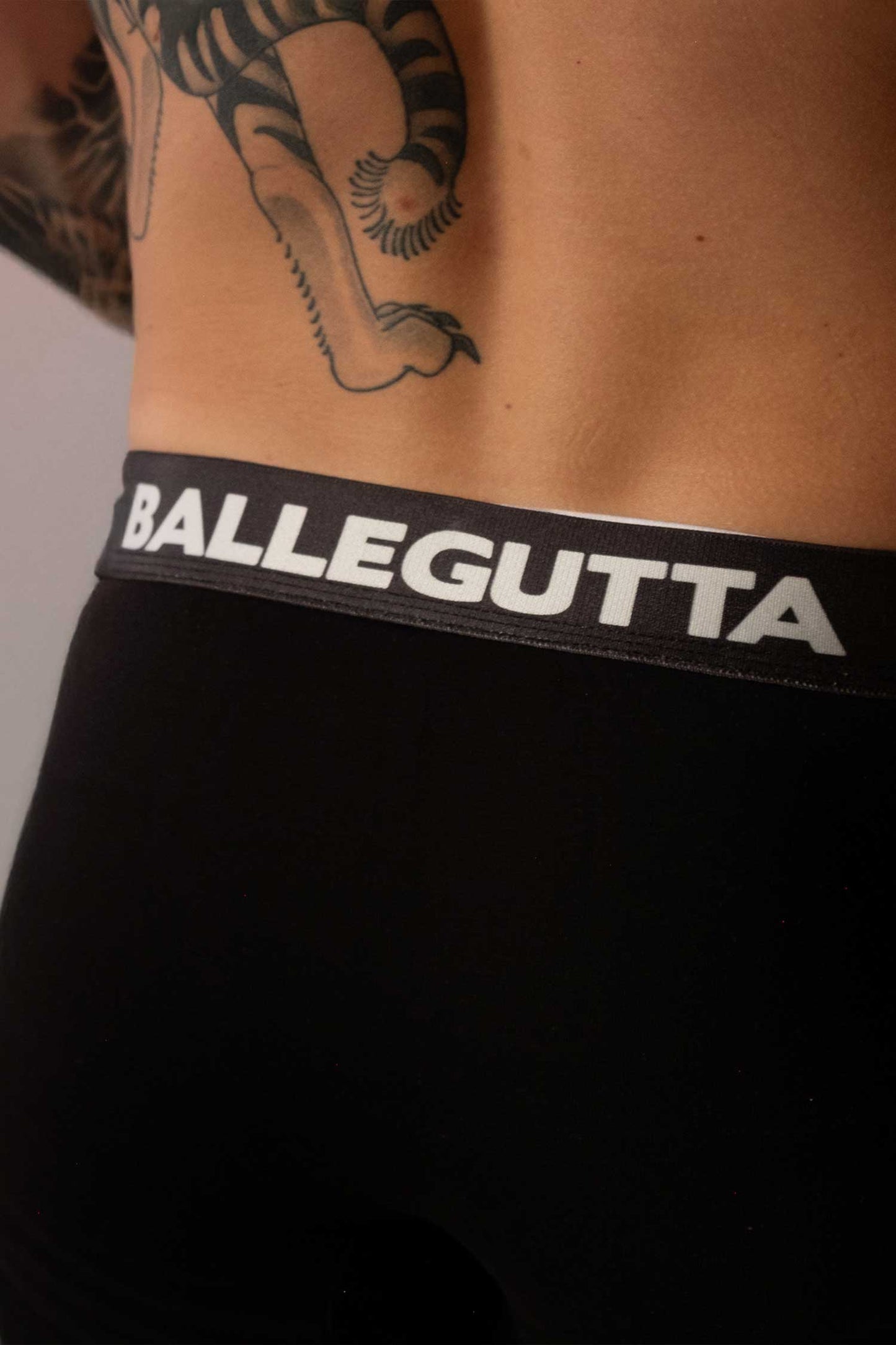Ballegutta | Boxer | Herre